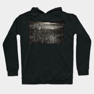 Grasslands Hoodie